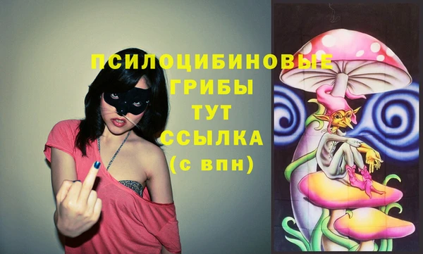 спайс Аркадак