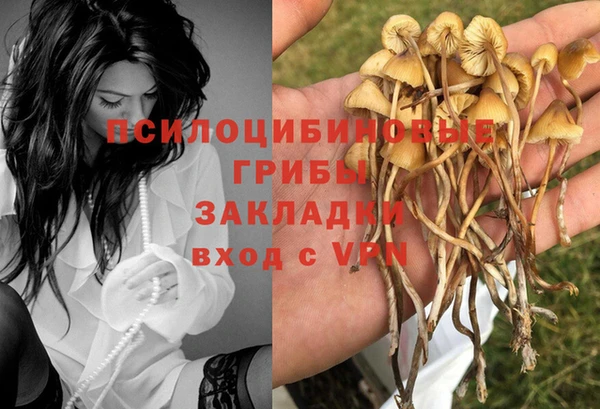 метадон Балахна