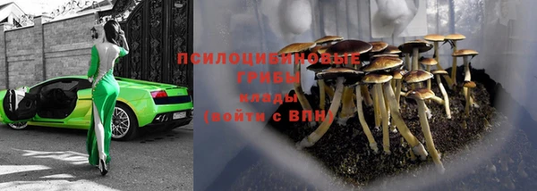 спайс Аркадак